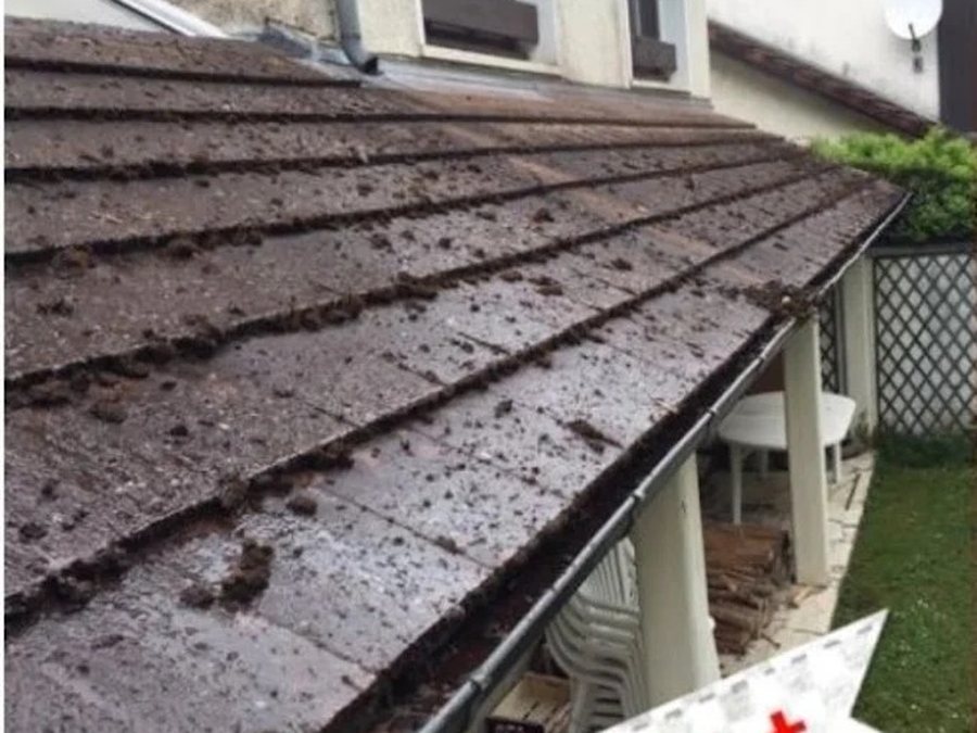 Démoussage d'une toiture en tuiles à Rouen, avant et après — avant